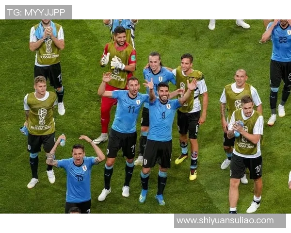 乌拉圭与巴西足球历史上的十大传奇巨星排名解析